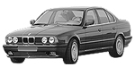 BMW E34 P252C Fault Code