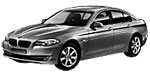 BMW F10 P252C Fault Code